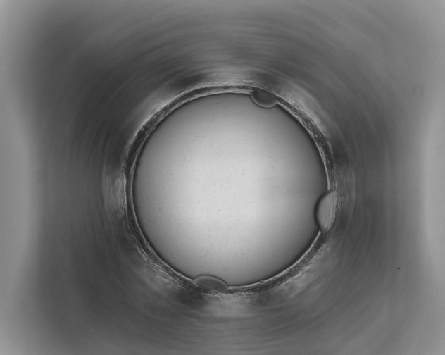 X0000111870781200908061253