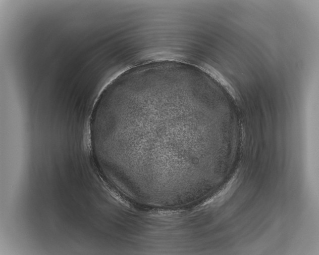 X0000111870782200908061253