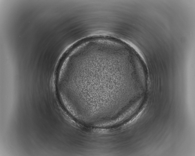 X0000111870783200908061253