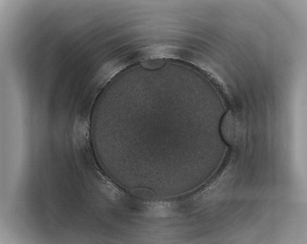 X0000111870785200908061253