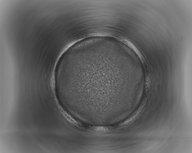 X0000111870787200908061253