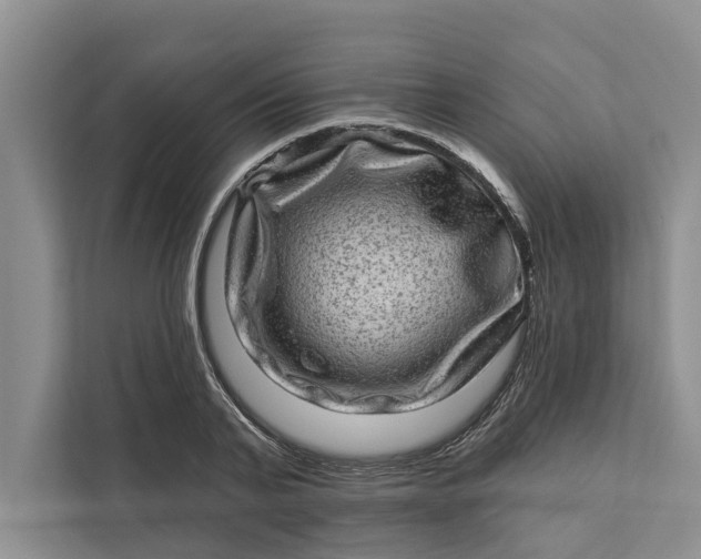 X0000111870791200908061253