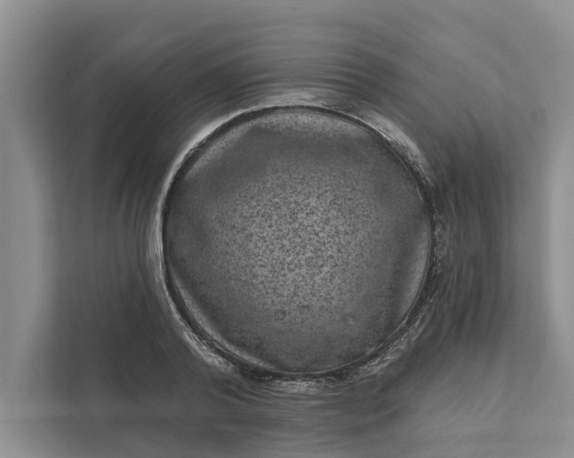 X0000111870792200908061253