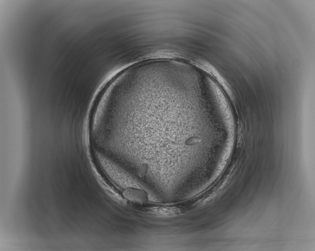 X0000111870795200908061253