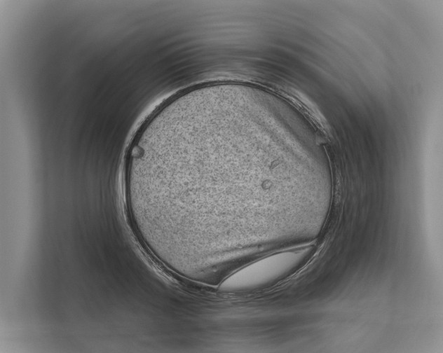 X0000111870796200908061253