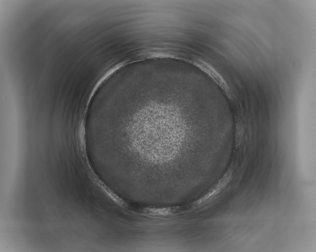 X0000111870798200908061253