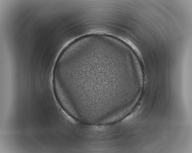 X0000111870799200908061253