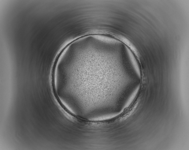 X0000111870803200908061253