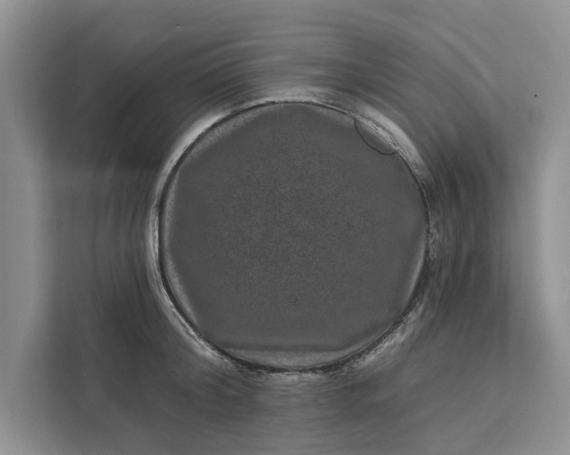 X0000111870804200908061253