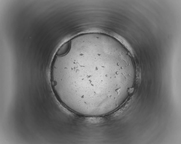 X0000111870805200908061253