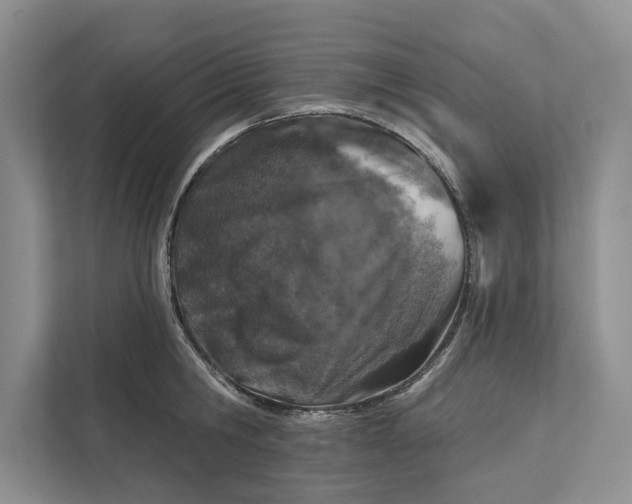 X0000111870806200908061253