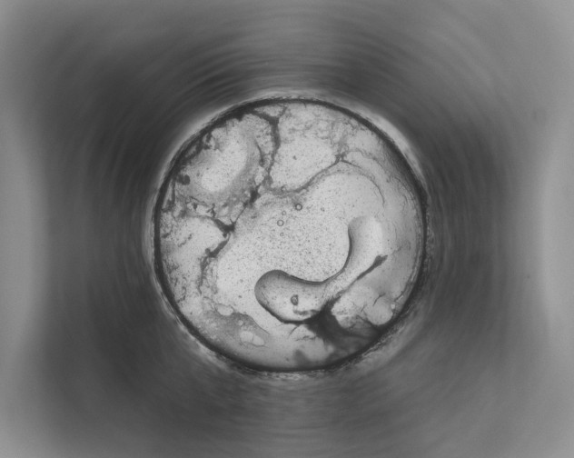 X0000111870807200908061253