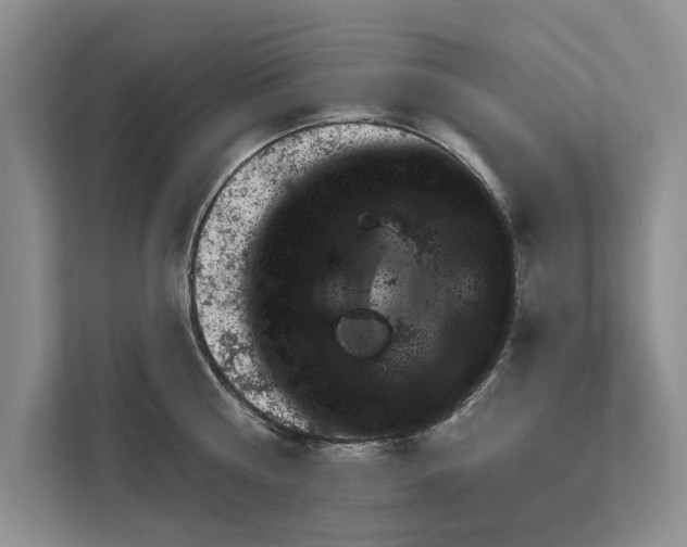 X0000111870810200908061253