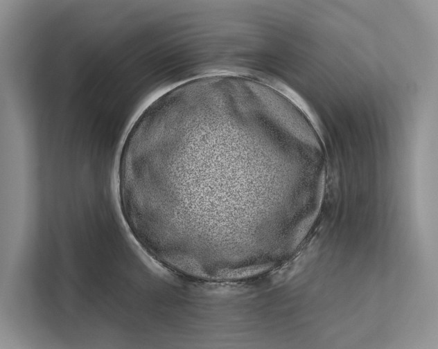 X0000111870811200908061253