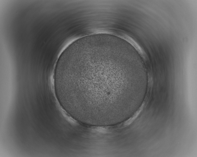 X0000111870814200908061252