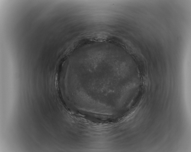 X0000111870818200908061252