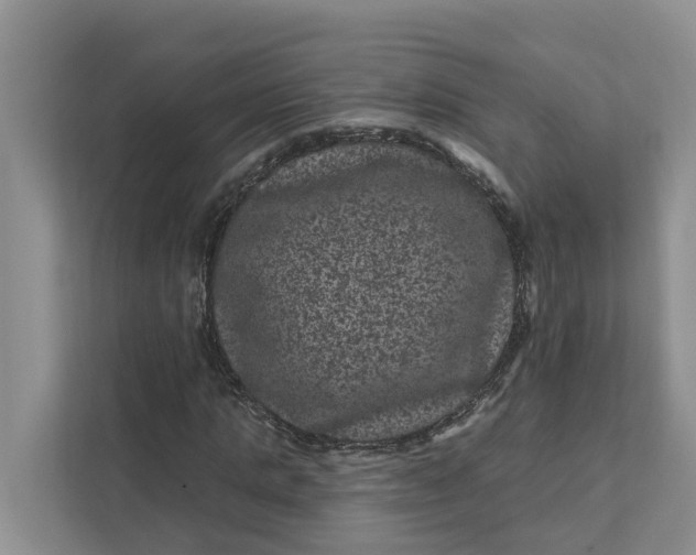 X0000111870821200908061252