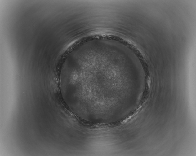 X0000111870822200908061252