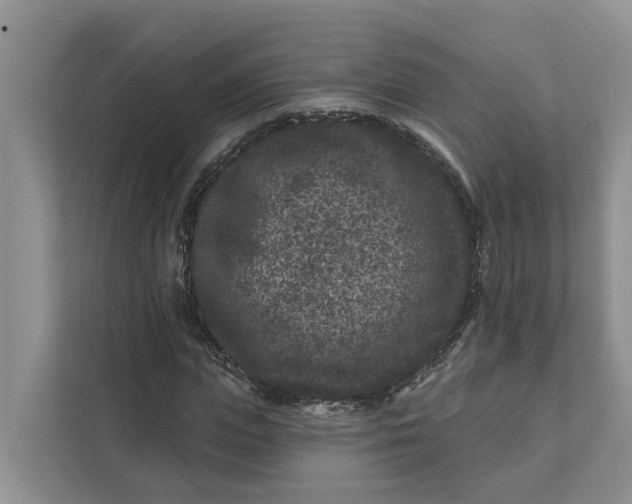 X0000111870823200908061252