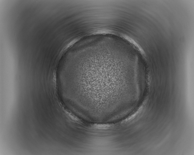 X0000111870825200908061252