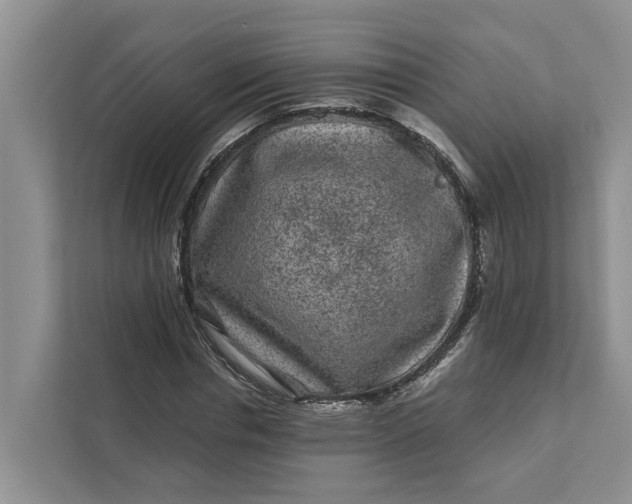 X0000111870826200908061252