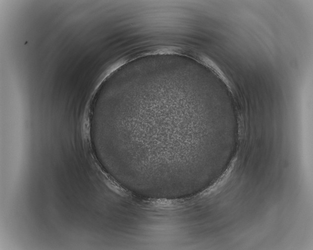 X0000111870827200908061252