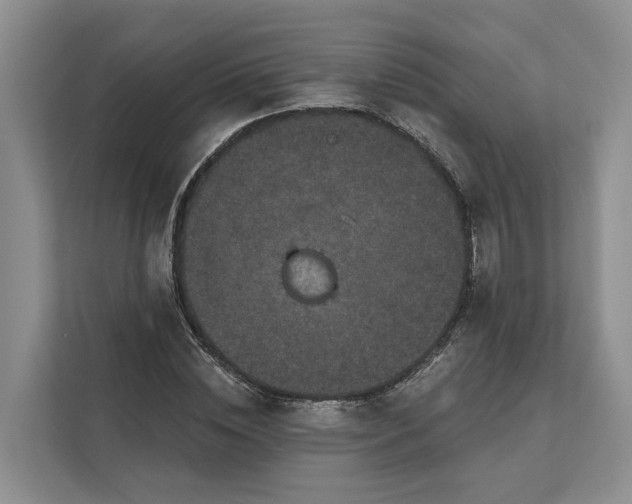 X0000111870828200908061252