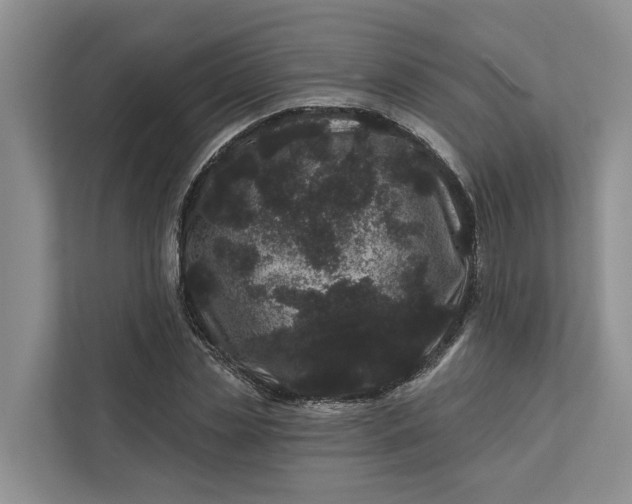 X0000111870829200908061252