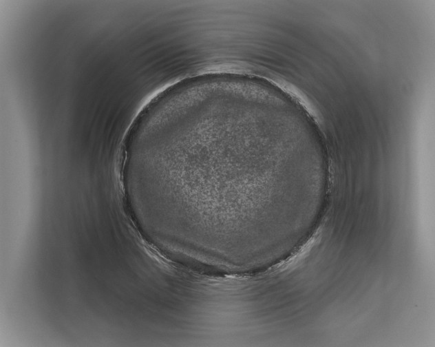 X0000111870830200908061252