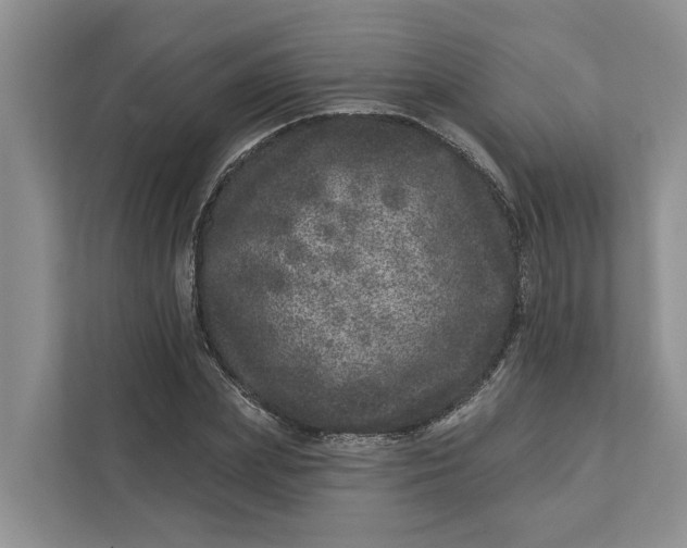 X0000111870831200908061252