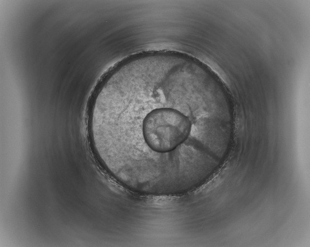 X0000111870832200908061252