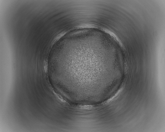 X0000111870833200908061252