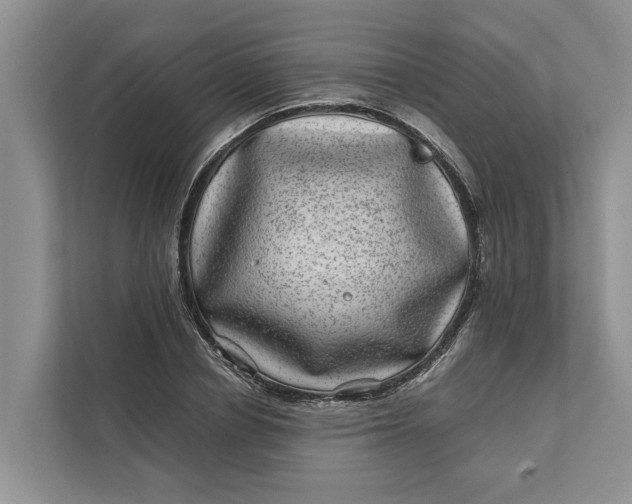 X0000111870834200908061252