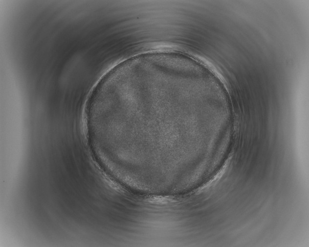 X0000111870835200908061252