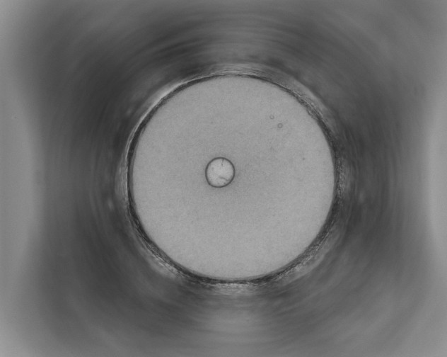 X0000111870836200908061252