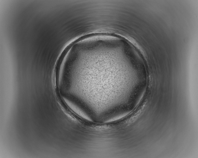 X0000111870838200908061252