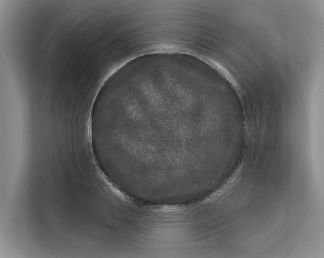 X0000111870839200908061252