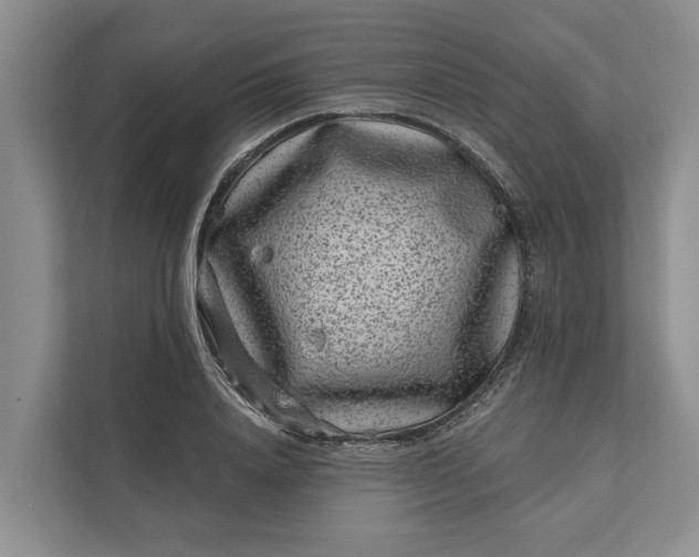 X0000111870840200908061252