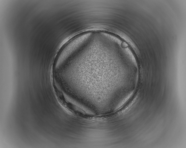 X0000111870842200908061252