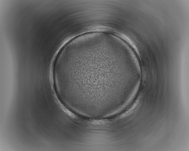 X0000111870843200908061252