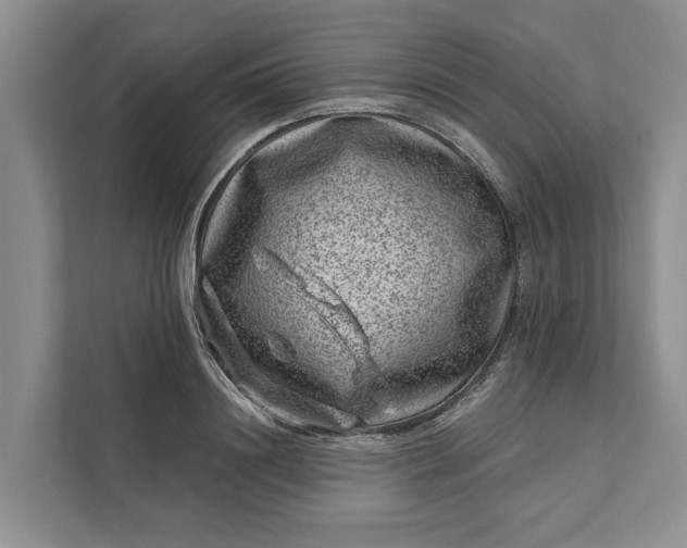 X0000111870844200908061252