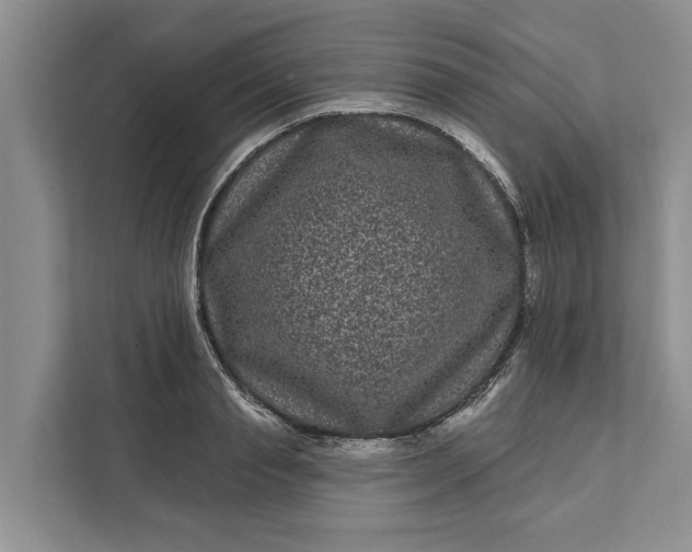 X0000111870845200908061252