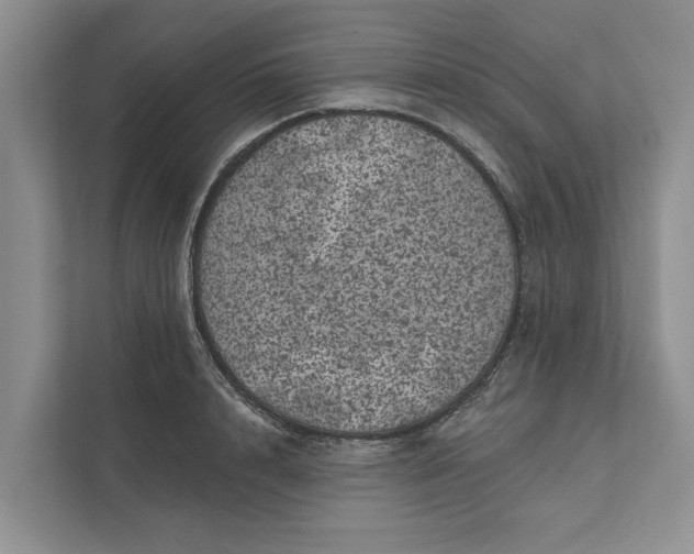 X0000111870848200908061252