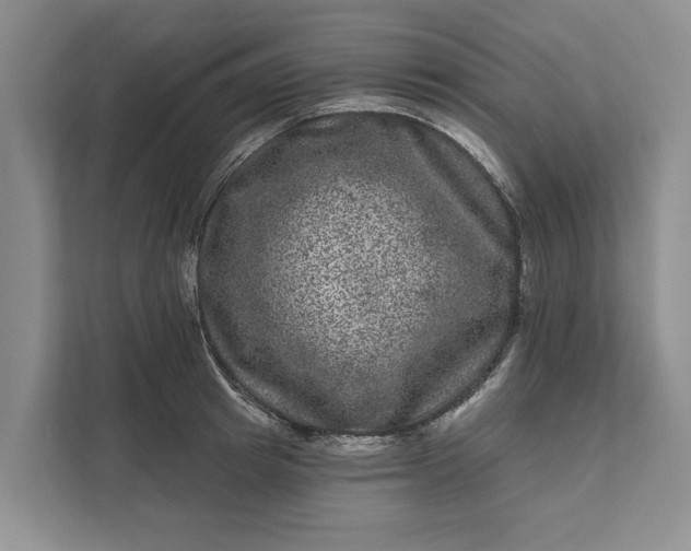 X0000111870849200908061252