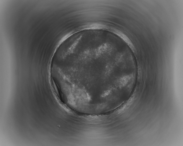 X0000111870850200908061252