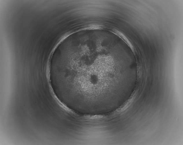 X0000111870851200908061252