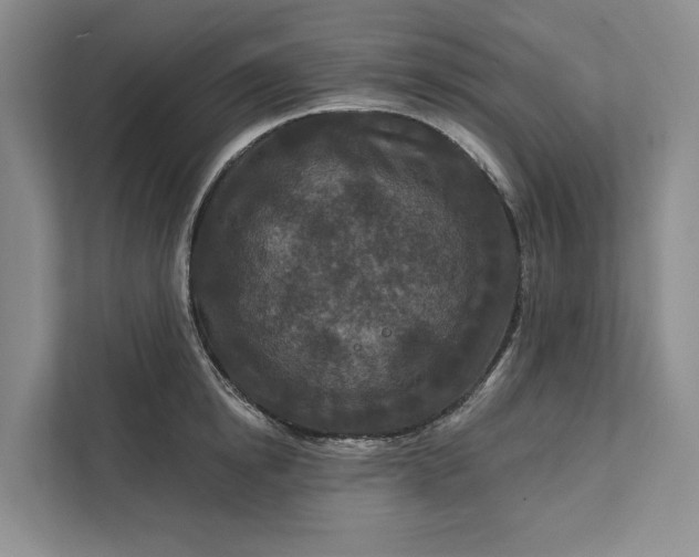 X0000111870854200908061252