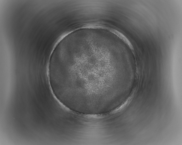 X0000111870855200908061252