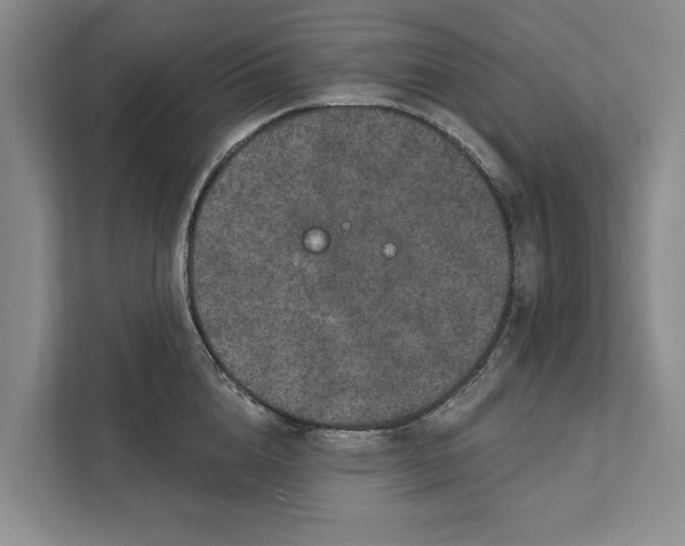 X0000111870856200908061252