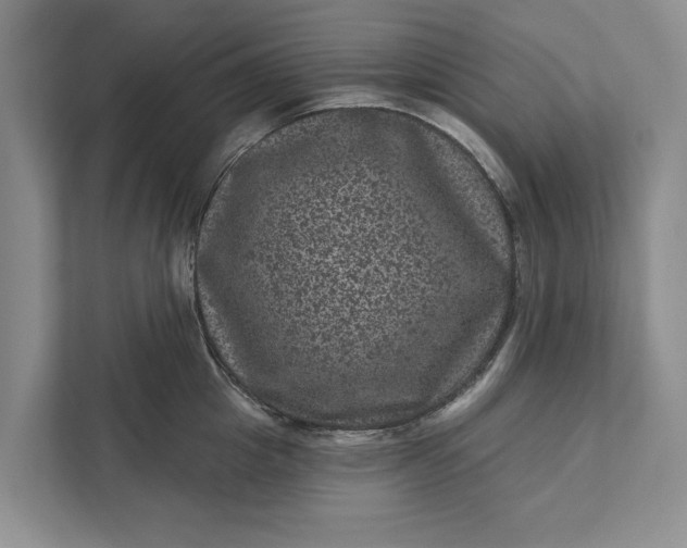 X0000111870857200908061252